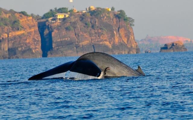 Trinco Blu by Cinnamon