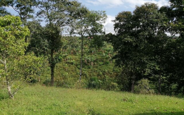 Finca Hotel Macadamia