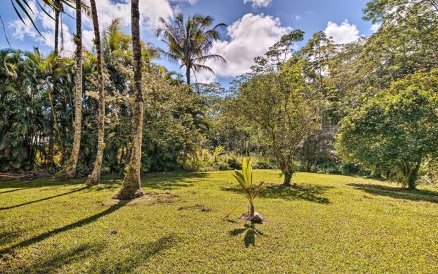 Sunny Pahoa Retreat: Snorkel, Hike & Shop!