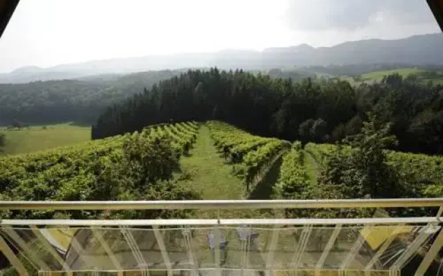 PURESLeben Winzerhaus Krast
