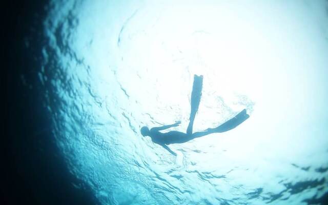 I'm Okay Guesthouse - Hostel