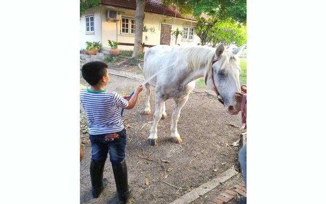Wanlapa Farmstay