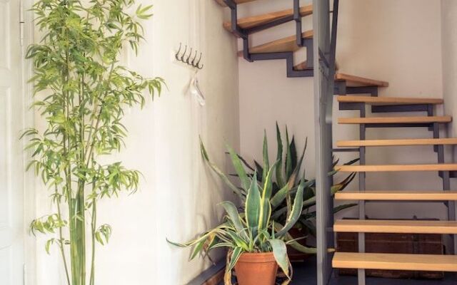 Grafschaft Kloster Zinna