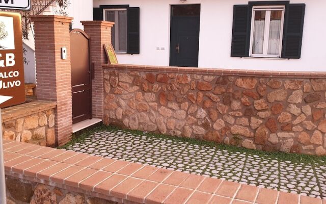 B&B Il Falco e l'Ulivo