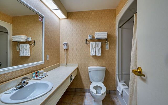 The Casablanca Hotel