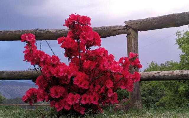 Quinta do Espigueiro
