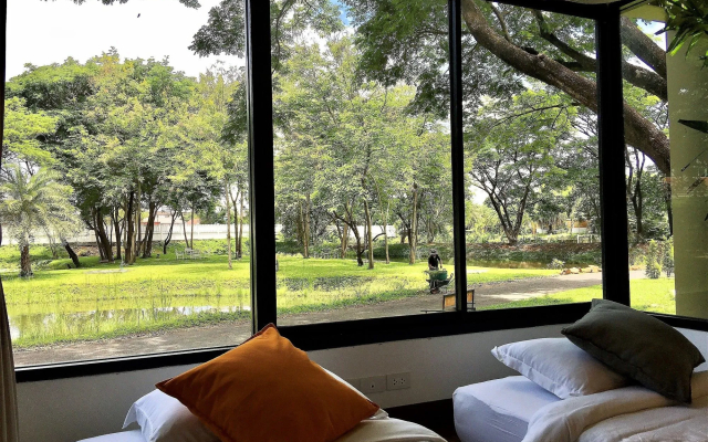 Green At Buriram