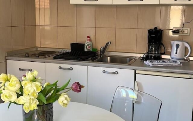 Central Apartment Bol