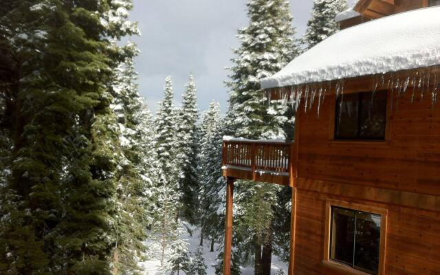 Luxury TreeHouse in Tahoe Donner with Hot Tub and Media Room by RedAwn