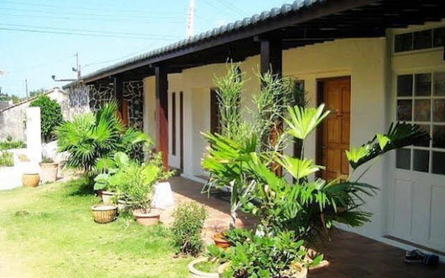 Lemon Tree B & B