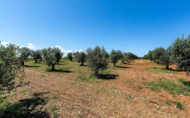 3421 Sikalindee - Casette PP by Barbarhouse