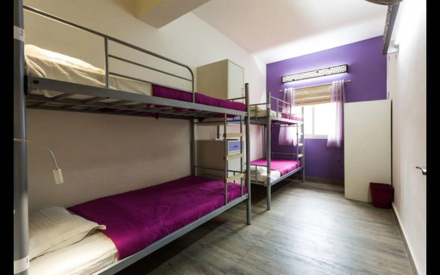 Joey's Hostel