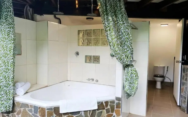 Daintree Holiday Homes - Treeverb Beach House