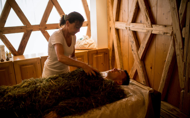 Wellness Hotel Alpenhof