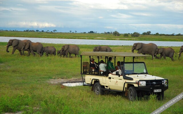 Sanctuary Chobe Chilwero