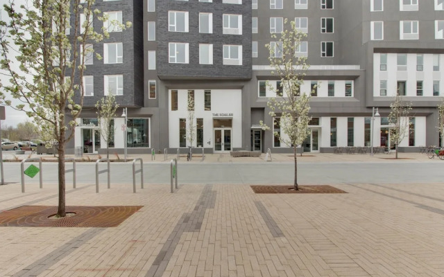 Stay Alfred at The Fowler