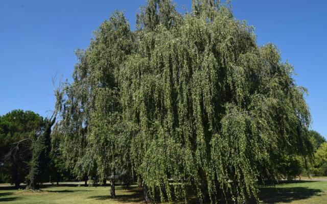 Al Salice tranquillità nel verde Via Amendola 24