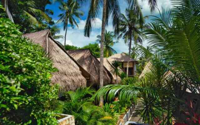 Village Vibes Lombok