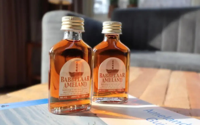 Serene Dune Chalet Near Beach