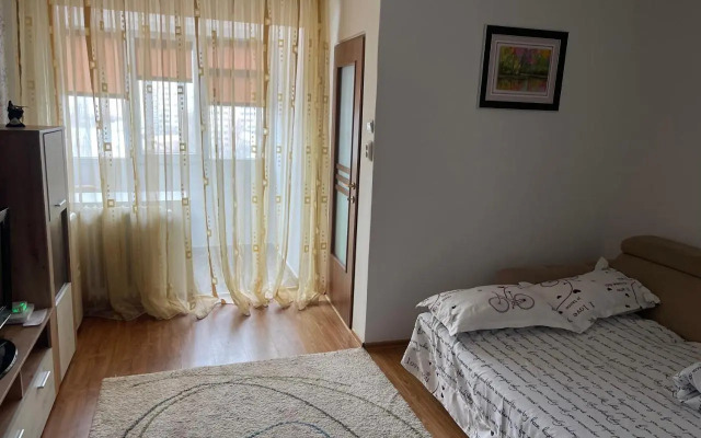 Garsoniera -Single Room 91