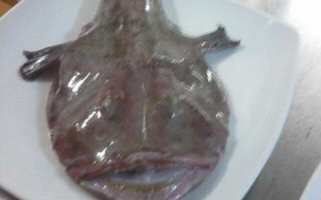 Affittacamere La Regina