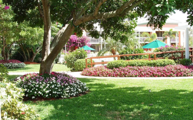 Collins Hotel Naples