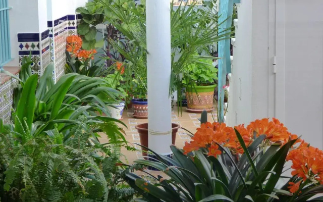 Hostal Campo Nuevo