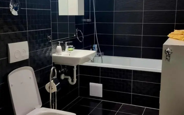 Swan Brasov Apartment