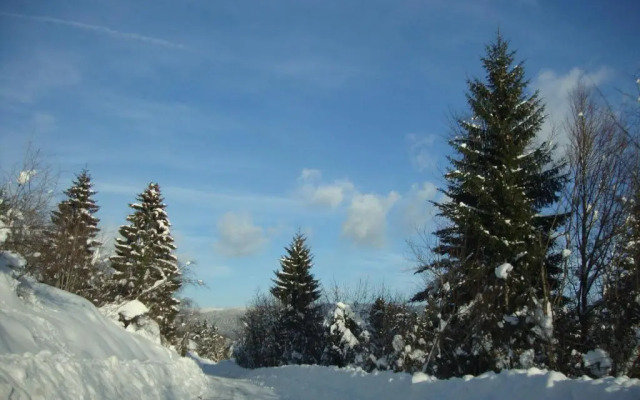 Studio mansardé à Oyonnax