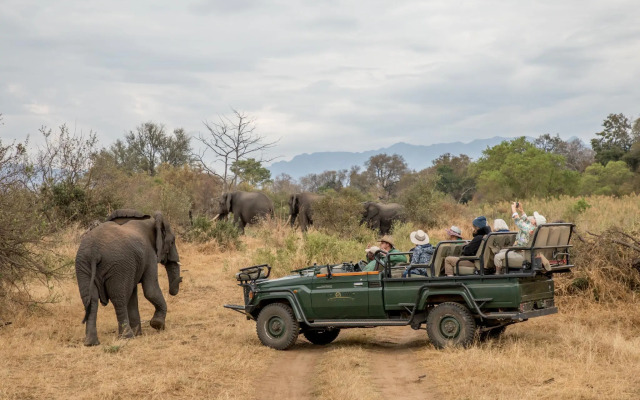 Karongwe- Shiduli Safari Lodge