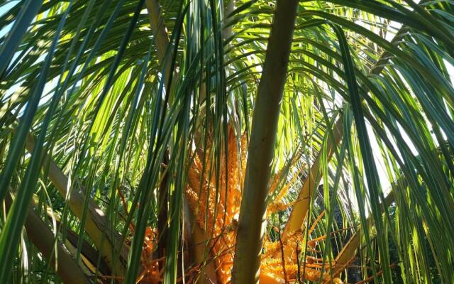 Gîte 1001 Nuits - SINBAD