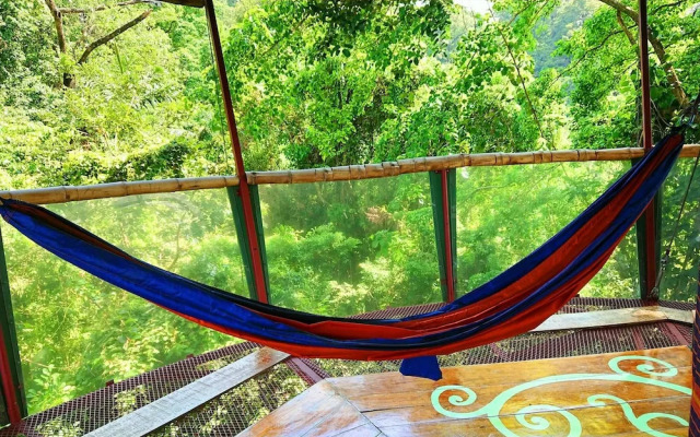 Nature Observatorio Amazing Treehouse