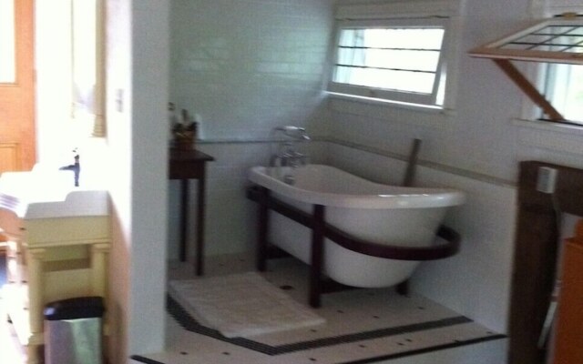 Windswept on the Trent