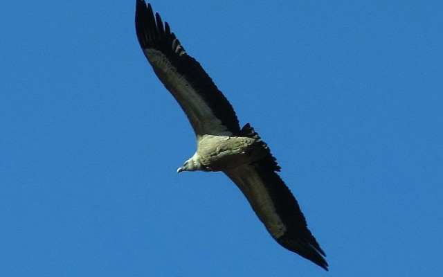 Château de Trigance