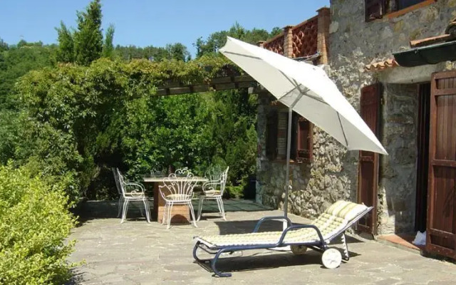 Sallicione