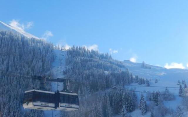 Chalet-Hôtel du Borderan