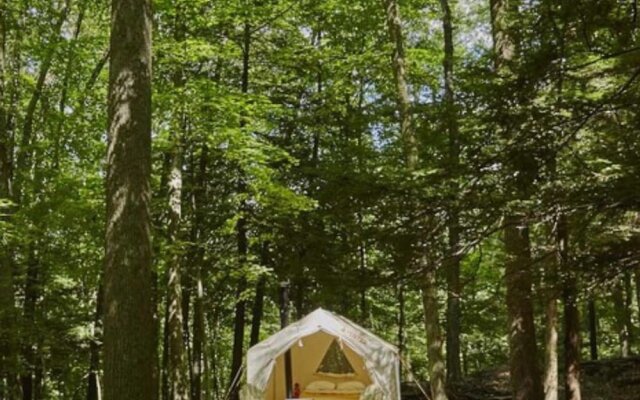 Tentrr - Cooke's Creek- Campsite