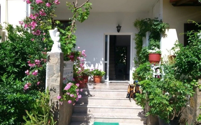 Pigi Pension