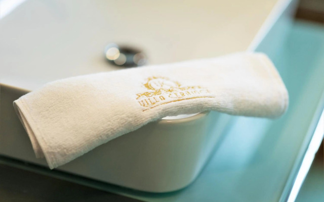 Luxury Apartment Villa Černigoj