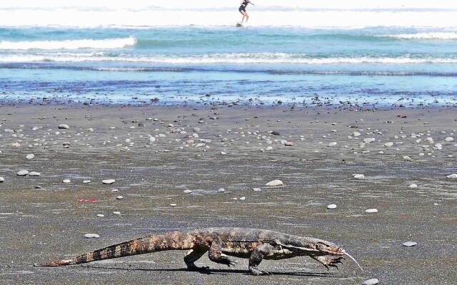 Wide Sands Beach Retreat