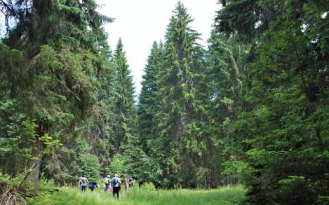 Apartment Kopaonik Kraljevi Cardaci