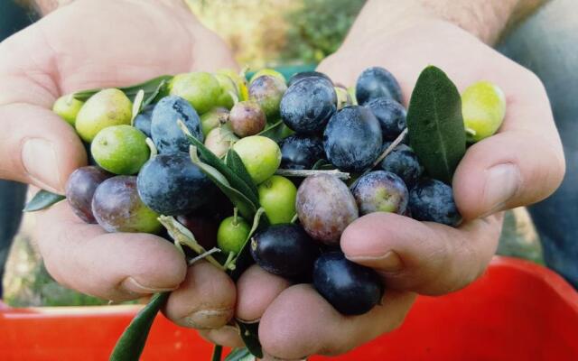Agriturismo La Guarda