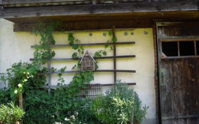 Frühstückspension Kammerer "Zum Grünen Baum"