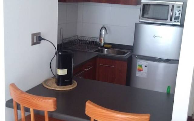 Apart Hotel Plaza Suite Los Carrera