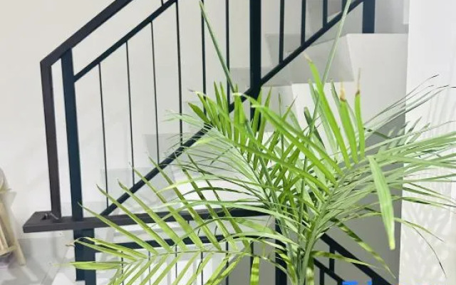 winner house