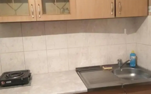 Apartment Zyryanovsk on Frunze 53