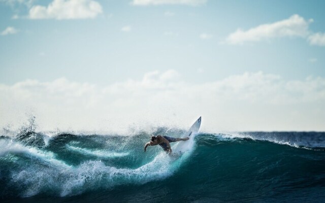 The Blue Hotel Bondi