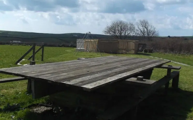 Buzzard Yurt