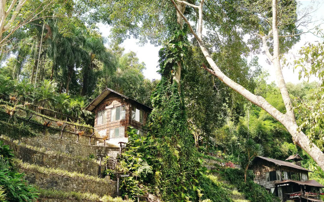 Phutarntree