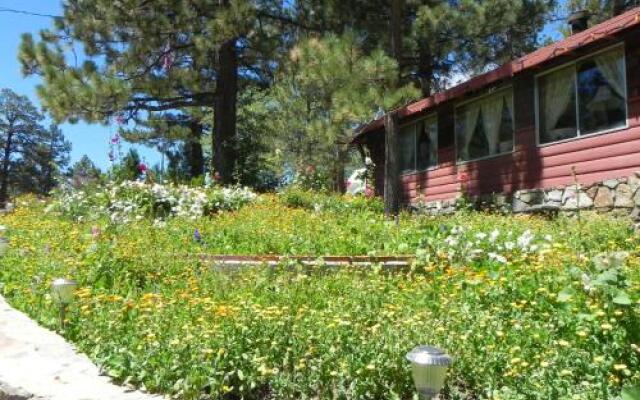 Oak Knoll Lodge and Cabins